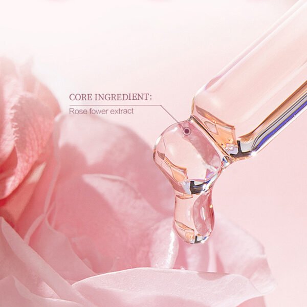 NIULOO Factory Customized Amazon TikTok Hot Selling Rose Plant Essential Oil Moisturizing Locking Water Even Skin Tone Body Massage Essential Oil Manufacturer Wholesale OEM Private Label - Image 4