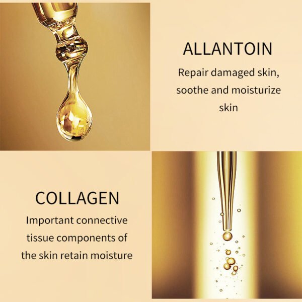 NIULOO Factory Customized Amazon TikTok Hot Selling Korean Imported Raw Snail Essence Antioxidant Brightening Hydrating Moisturizing Toner Manufacturer Wholesale OEM Private Label - Image 4